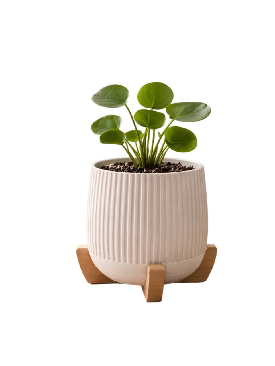 Maceta Japandi | Bandeja de goteo oculta